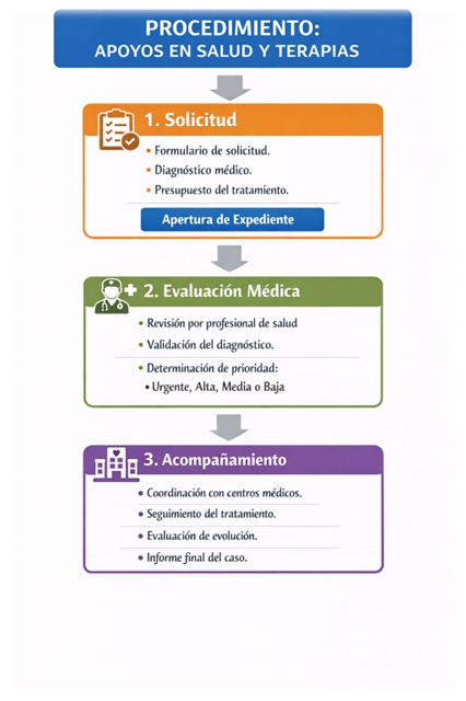 Diagrama del procedimiento de apoyos en salud y terapias